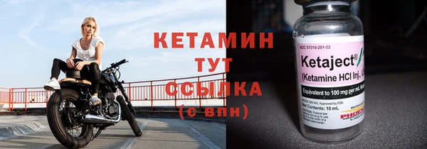 сатива Вяземский