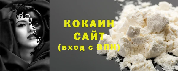 гашик Вязьма