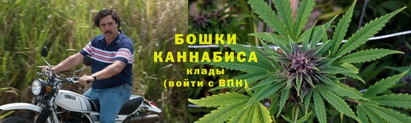 гидропоника Богородск