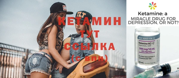 сатива Вяземский