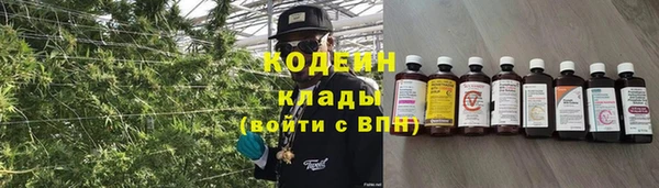 гашик Вязьма