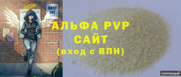 гашик Вязьма